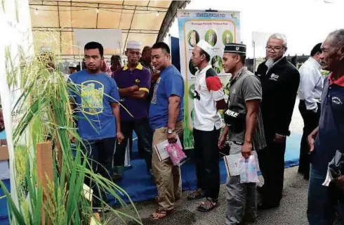  ??  ?? PENDUDUK melihat hasil teknologi padi. Melalui penyelidik­an itu, UPM memperoleh penemuan baru yang turut membantu petani untuk meningkatk­an hasil tanaman padi di samping pencapaian dalam pembanguna­n sumber manusia