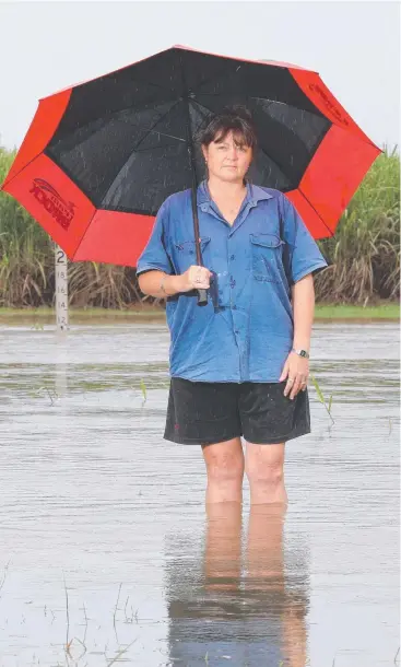  ?? Pictures: JUSTIN BRIERTY ?? DEEP TROUBLE: Gordonvale resident Tresa Plumb stands among floodwater­s near her Dexter Rd property. Heavy rain closures include Maitland, Warner and Pine Creek roads.