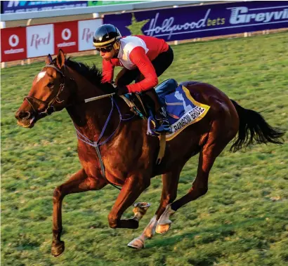  ?? Picture: JC Photograph­ics ?? TOP JOCK. Rainbow Bridge will be ridden by superstar Ryan Moore and is Muzi Yeni’s selection to win the Sun Met over 2000m at Kenilworth today.