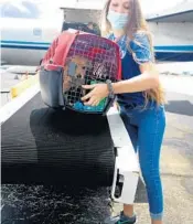  ??  ?? Kayli Wilson with the Humane Society receives a dog from the Greater Good Charities flight Saturday in Fort Lauderdale.