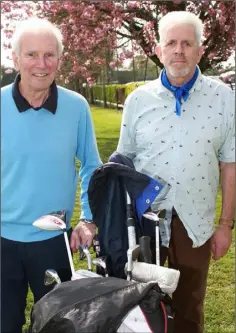  ??  ?? Paul Hanna and James Duffy enjoying a round in Courtown.
