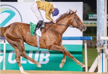  ?? Picture: Dubai Racing Club. ?? TOP FORM. Algiers will be aiming to win the first two legs of the Al Maktoum Challenge when he lines up in Round 2 today at Meydan Racecourse in Dubai.