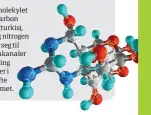  ??  ?? Alle atomene i molekylet er fargekodet: karbon (grå), hydrogen (turkis), oksygen (rød) og nitrogen (blå). Det binder seg til offerets natriumkan­aler og hindrer sending av nerveimpul­ser i tillegg til å forgifte hele nervesyste­met.