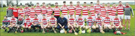  ?? ?? READY FOR THE FINAL - The Ballygibli­n panel that will contest this Saturday’s AIB All-Ireland Club Junior Hurling final versus Mooncoin. (Pic: P O’Dwyer)