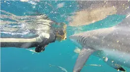  ?? Picture: BLUE WILDERNESS ?? HAIR RAISING: Cera-Jane Catton is the lead safety diver for the forthcomin­g The Wild Swim initiative. In support of The Wild Swim, Blue Wilderness Shark Adventures took Catton and Wild Swim organiser Fred Kockott, on a shark dive off Aliwal Shoal near Durban on Thursday.