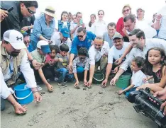  ??  ?? La tortuga golfina es un símbolo de identidad del sur del país.