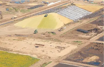  ??  ?? Patio de comida. Gardello en 2013 había producido el silo de maíz más grande del mundo.