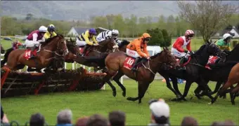  ??  ?? Killarney Races promises an action-packed event with the very best of National Hunt and flat racing.