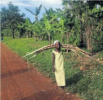  ??  ?? VILLAGE APPEAL A girl walks past a banana plantation on a dirt road in Kabuli.