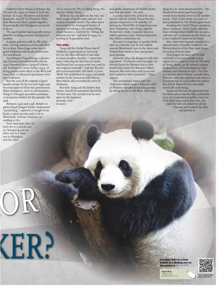  ?? Photo: CFP ?? A panda rests on a tree branch in a Beijing zoo on November 8.