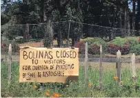  ?? MAURA DOLAN LOS ANGELES TIMES FILE PHOTO ?? Residents of Bolinas, Calif., known for trying to keep strangers out, were tested in April for the coronaviru­s and its antibodies.