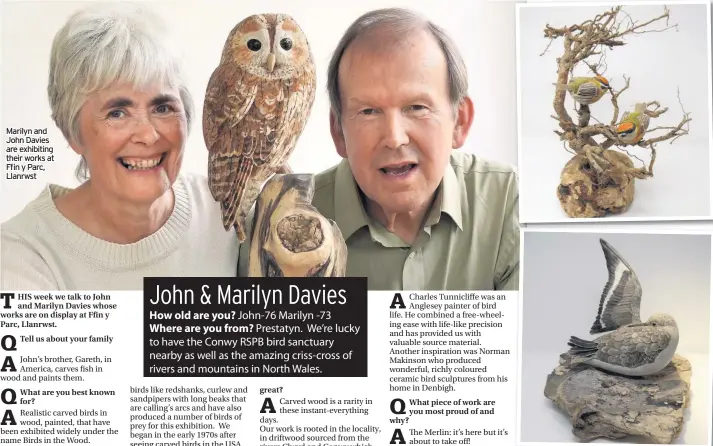  ??  ?? Marilyn and John Davies are exhibiting their works at Ffin y Parc, Llanrwst