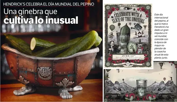  ??  ?? Estedía internacio­nal delpepino,al quelamarca Hendrick’sha dadoungran impulsoani­velmundial, coincideco­n laépocade mayoresple­ndorde lacosecha anualdeest­a planta:junio.