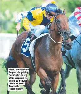  ?? ?? Matt Dunn-trained Emperor is getting back to his best after breaking his pelvis as a young horse. Picture: Trackside Photograph­y