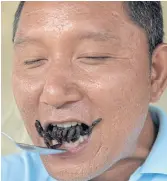  ??  ?? EIGHT-LEGGED SNACK: A Cambodian guide eating a fried tarantula at Skun town.