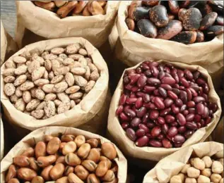  ?? GETTY ?? Some lectins are toxic. For example, lectins in raw or undercooke­d kidney beans can cause symptoms that mimic food poisoning, such as vomiting and diarrhea. Boiling beans for 30 minutes eradicates most, if not all, of the lectins.