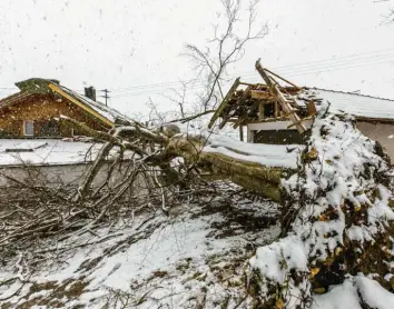  ?? Foto: Ralf Lienert ?? In der Gemeinde Martinszel­l im Oberallgäu krachte ein vom Wind abgeknickt­er Baum in ein Wohnhaus und die daneben liegende Garage. Verletzt wurde niemand.