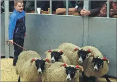  ??  ?? A good day for young Innes MacKay and his dad Robert at Dalmally. The five Blackface ewe lambs sold for £130 each.