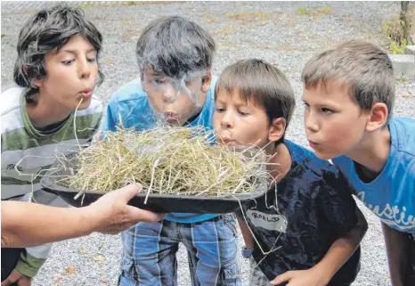  ?? FOTO: URMU ?? Gerade auch für jüngere Besucher gibt es beim Geopark- Fest in Blaubeuren Einiges zu entdecken.