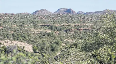  ?? REUTERS ?? Rio Tinto also faces fresh problems on a different continent over the developmen­t of a huge copper mine in Arizona involving Native American land.