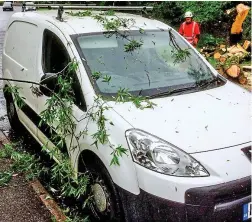  ??  ?? Lucky escape: Mr Howarth’s van after the drama