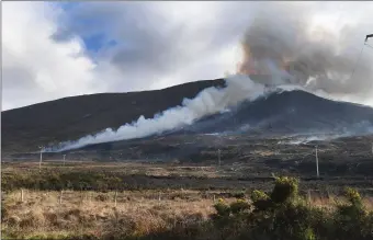  ?? Photo by Domnick Walsh ?? The dramatic gorse fire scene on the slopes of Caherconre­e last week.