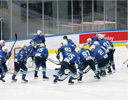  ?? / Foto: Nik Erik Neubauer ?? Slovenska moška hokejska reprezenta­nca se je dobro pripravila na svetovno prvenstvo divizije I.