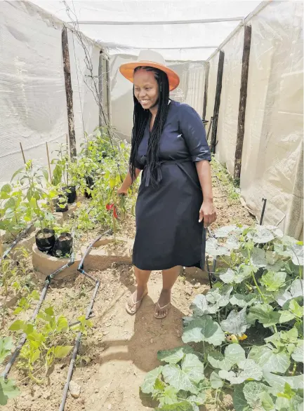  ??  ?? Inspection... Ndawedapo Shaanika inspects produce in her backyard garden in which she grows various types of fruits and vegetables.