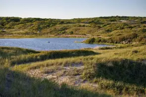  ??  ?? Red Gate Farm sits on a stretch of Atlantic Ocean beachfront, and includes a Cape Cod-style main house, a two-storey guest house and a boathouse