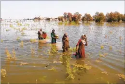  ?? Fareed Khan Associated Press ?? WOMEN wade after flooding in Pakistan in September. A new U.N. report warns that the window to prevent the worst effects of climate change is closing.