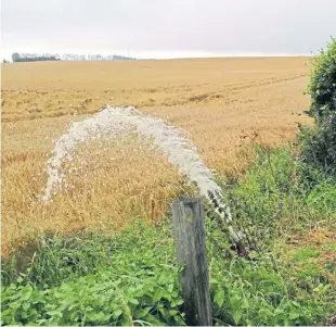  ??  ?? Water being pumped from a flooded house into a field of spring barley.