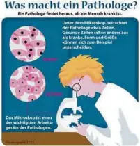  ??  ?? Erklärgraf­ik: Was macht ein Pathologe? Grafik: C. Goldammer