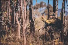  ?? ?? A 3RAR soldier provides target indication.