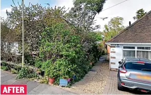  ?? ?? AFTER
Overgrown: Trees and plants at the home on the left belonging to Yvonne Rogers, above