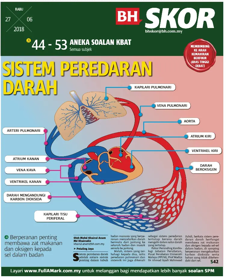 Sistem Peredaran Darah Pressreader