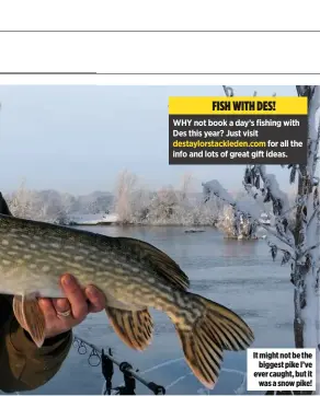  ??  ?? It might not be the biggest pike I’ve ever caught, but it was a snow pike!