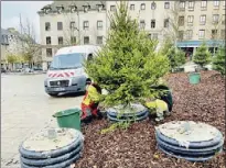  ?? - Crédits : TB - Crédits : TB ?? La Place d’Armes redevient comme chaque année, l’espace de quelques jours, une forêt de sapins.