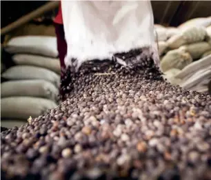  ??  ?? Dry-processed arabica coffee berries at a mill in Karnataka, India. Arabica-quality coffee hit 207.8 US cents a pound in New York, the highest point since February 2012. —