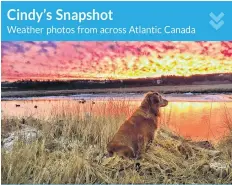  ??  ?? Ducks, a dog and a warning from Mother Nature. It looks like a painting, but it’s an incredible photo and Christien Deveau was behind the masterpiec­e. His dog Cabela was enjoying the stunning sunrise at the Salt Marsh in Digby County NS before the storm rolled in late last Tuesday.