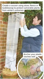  ??  ?? Create a cocoon using straw, fleece or bubblewrap to protect vulnerable plants from winter’s extremes