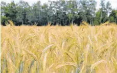  ?? SZ-FOTO: DKD ?? Die Landwirte der Region besprechen in Dellmensin­gen, welche Neuerungen die aktuelle Gesetzlage in Sachen Dünger bringt.