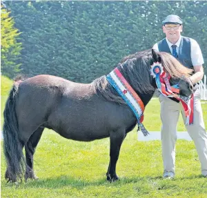  ??  ?? Mawcarse Lady Dionne was shown in the ring by Donna’s dad, Tam Stuart.