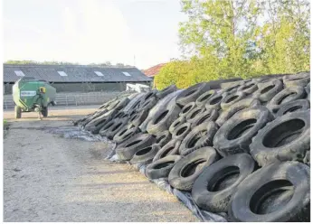  ??  ?? Sous ces tas ajoutés de pneus, se trouve la récolte de maïs fourrager pour l’alimentati­on du bétail