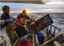  ??  ?? Deckhands Kevin Minson and Chad Gaglioti check their pots for western rock lobster off the coast of Cervantes as dawn breaks.