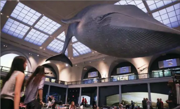  ?? EMILIANO RODRIGUEZ MEGA — THE ASSOCIATED PRESS ?? Visitors at the American Museum of Natural History prepare to spend the night under the blue whale exhibit in the Milstein Hall of Ocean Life during the adult-only sleepover on June 22 in New York. The event became so popular that other science centers around the U.S. followed suit. Aquariums and museums in cities such as Atlanta, Milwaukee and Portland, Oakland, have hosted their own pajama parties for grown-ups.