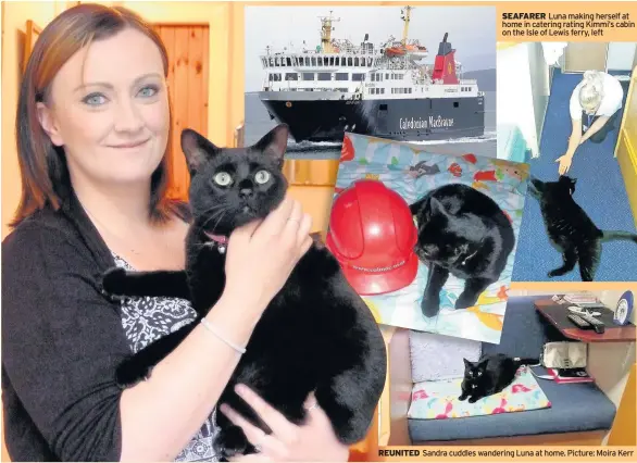  ??  ?? SEAFARER Luna making herself at home in catering rating Kimmi’s cabin on the Isle of Lewis ferry, left REUNITED Sandra cuddles wandering Luna at home. Picture: Moira Kerr