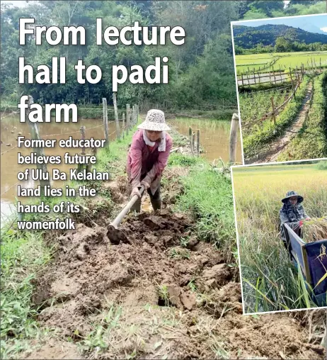  ?? ?? Cikgu Lawa breaks the earth to rebuild the footpath to her fields, often damaged by buffaloes and wild animals.