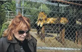  ?? Gary Friedman Los Angeles Times ?? MARTINE COLETTE, who establishe­d the Wildlife Waystation four decades ago, is pictured in 2011 with African lions Leo Zaire, left, and Katunga.