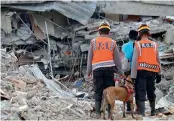  ?? — AP ?? Rescuers lead a sniffer dog during a search operation at the ruins of a building collapsed in earthquake in Mamuju, in Indonesia on Friday.