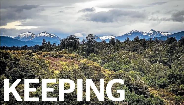  ??  ?? Mike Gibbs’ family at first despaired that their land in Rarakau forest was unusable – now it plays a vital role in fighting climate change.